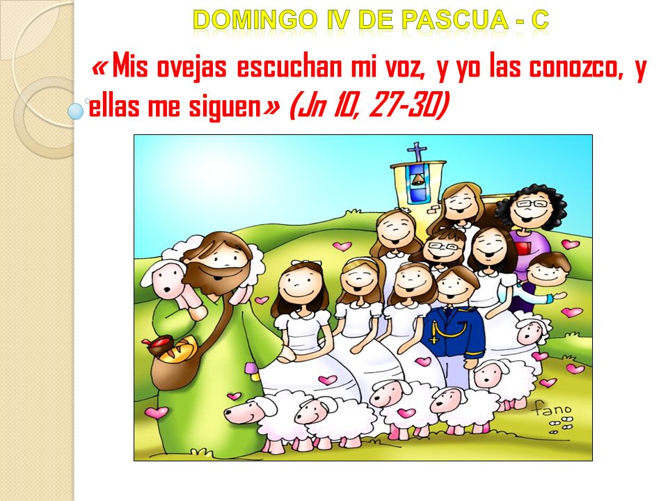 Domingo iV DE pascua - c « Mis ovejas escuchan mi voz, y yo las conozco, y ellas me siguen» (Jn 10, 27-30)