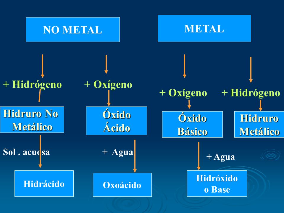 METAL NO METAL + Hidrógeno + Oxígeno + Oxígeno + Hidrógeno Hidruro No