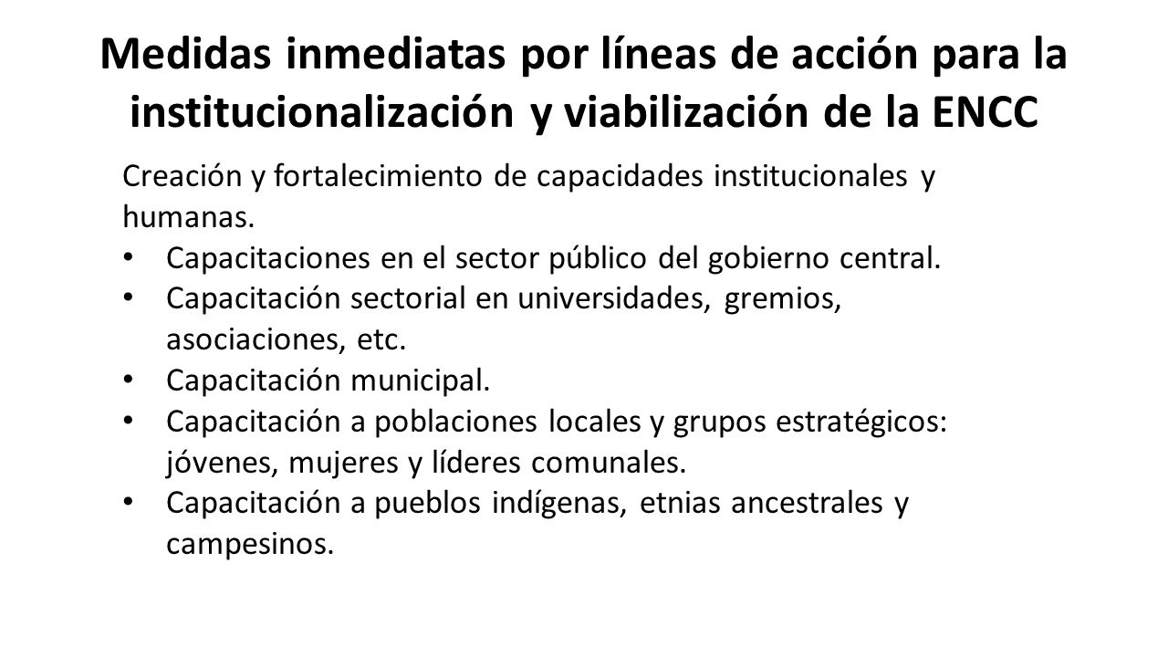Medidas inmediatas por líneas de acción para la institucionalización y viabilización de la ENCC