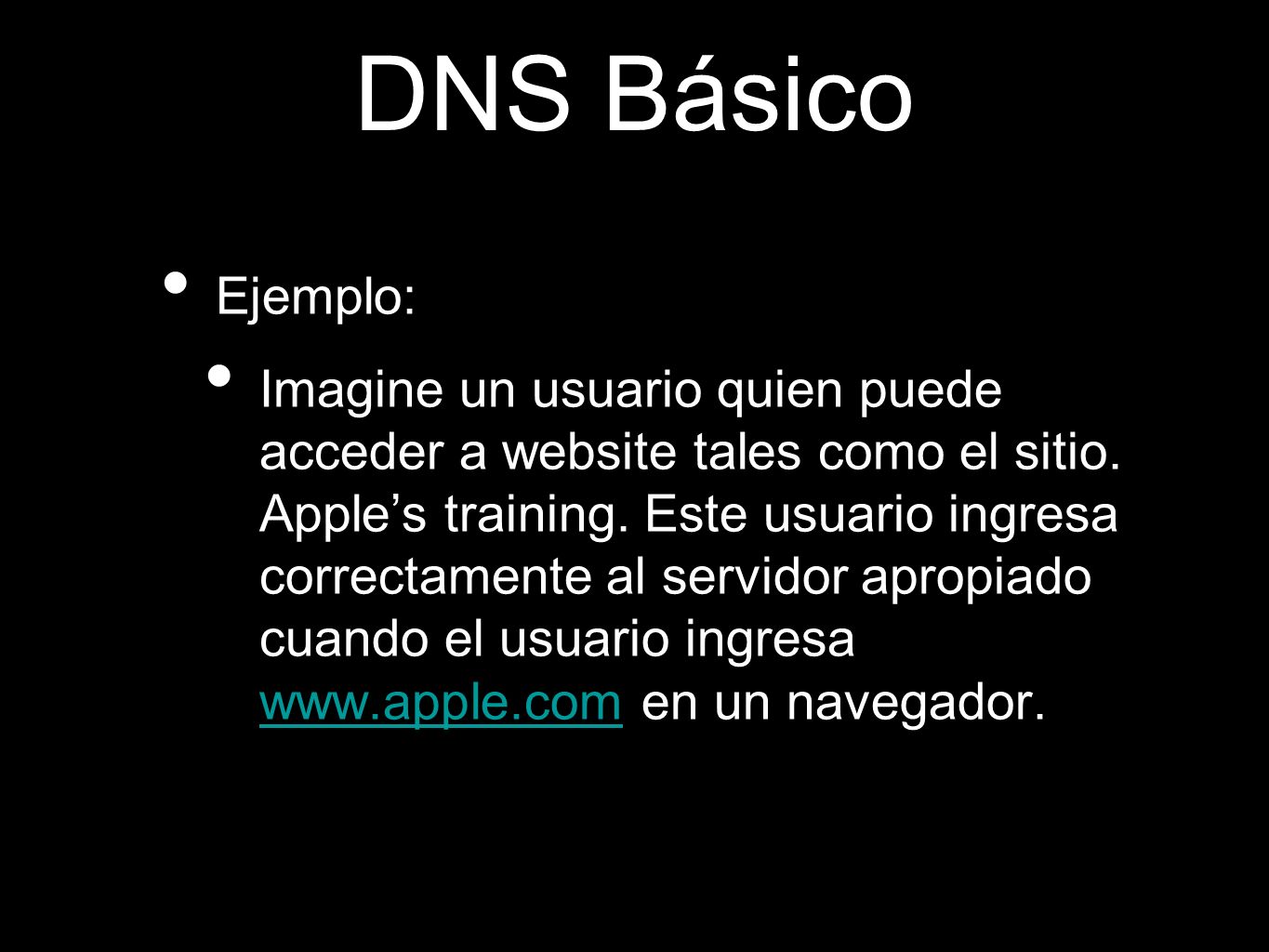 DNS Básico Ejemplo:
