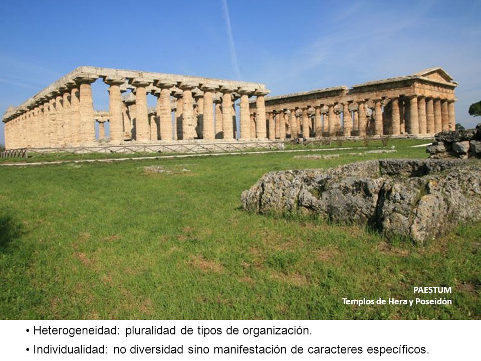 Heterogeneidad: pluralidad de tipos de organización.
