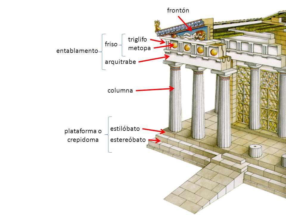 frontón triglifo. friso. metopa. entablamento. arquitrabe. columna. estilóbato. plataforma o.