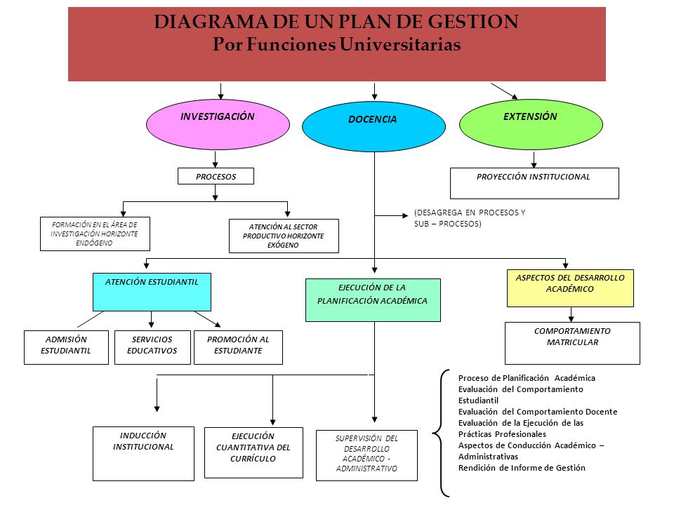 DIAGRAMA DE UN PLAN DE GESTION Por Funciones Universitarias