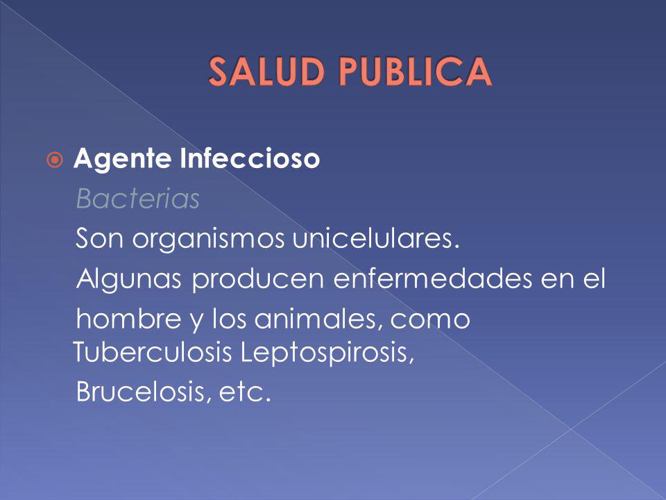 SALUD PUBLICA Agente Infeccioso Bacterias Son organismos unicelulares.