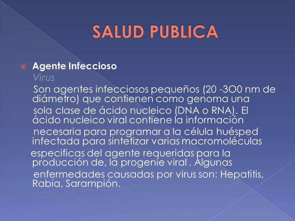 SALUD PUBLICA Agente Infeccioso. Virus. Son agentes infecciosos pequeños (20 -3O0 nm de diámetro) que contienen como genoma una.