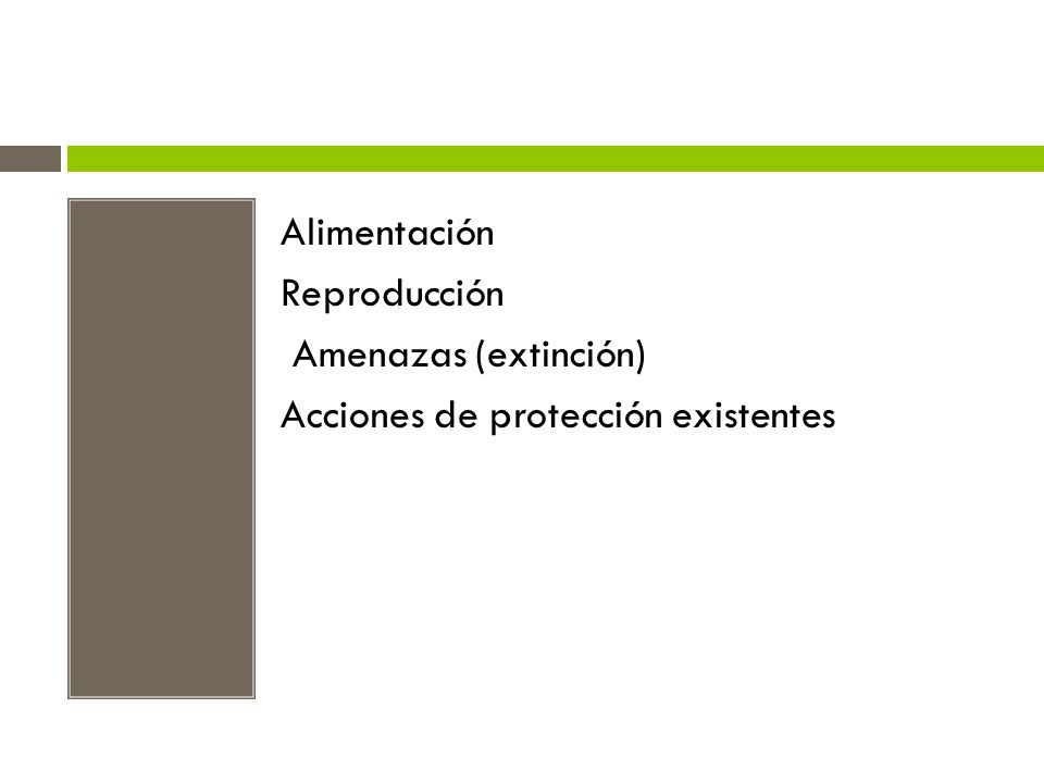 Alimentación Reproducción Amenazas (extinción) Acciones de protección existentes