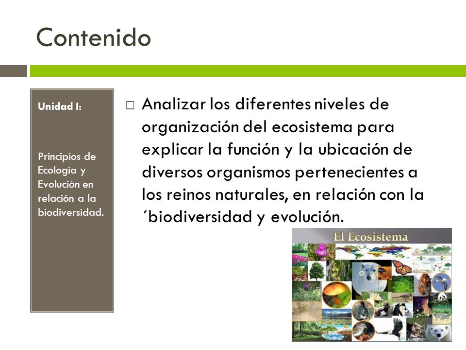 Contenido Unidad I: Principios de Ecología y Evolución en relación a la biodiversidad.
