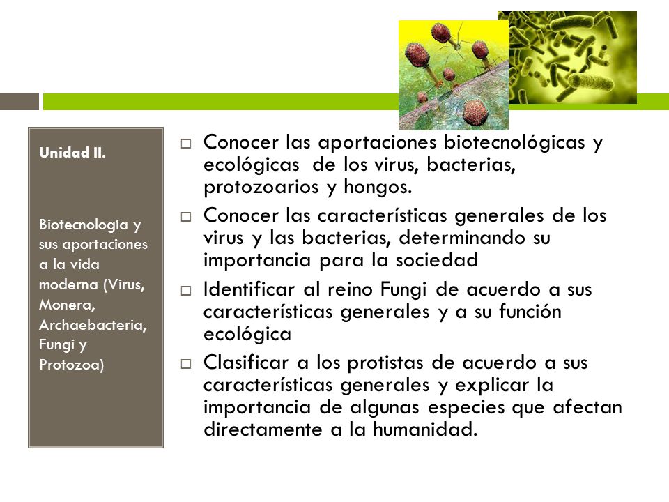 Unidad II. Biotecnología y sus aportaciones a la vida moderna (Virus, Monera, Archaebacteria, Fungi y Protozoa)