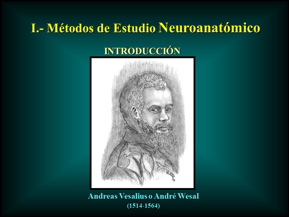 I.- Métodos de Estudio Neuroanatómico Andreas Vesalius o André Wesal