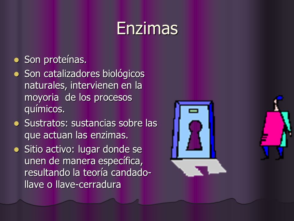 Enzimas Son proteínas. Son catalizadores biológicos naturales, intervienen en la moyoria de los procesos químicos.