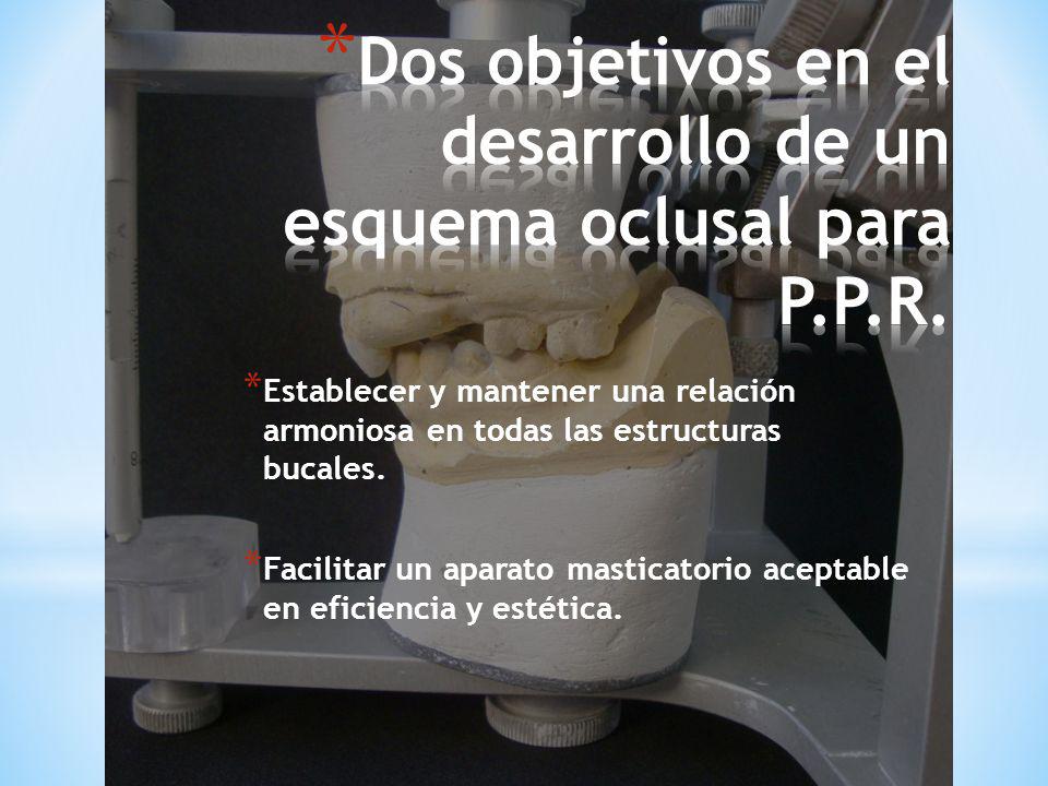 Dos objetivos en el desarrollo de un esquema oclusal para P.P.R.