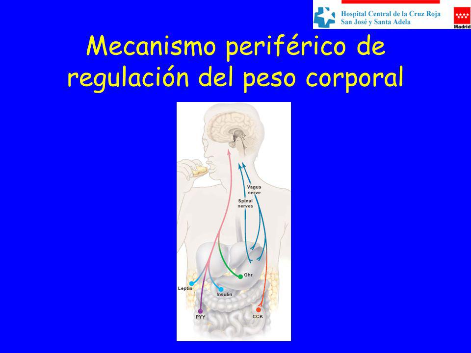 Mecanismo periférico de regulación del peso corporal
