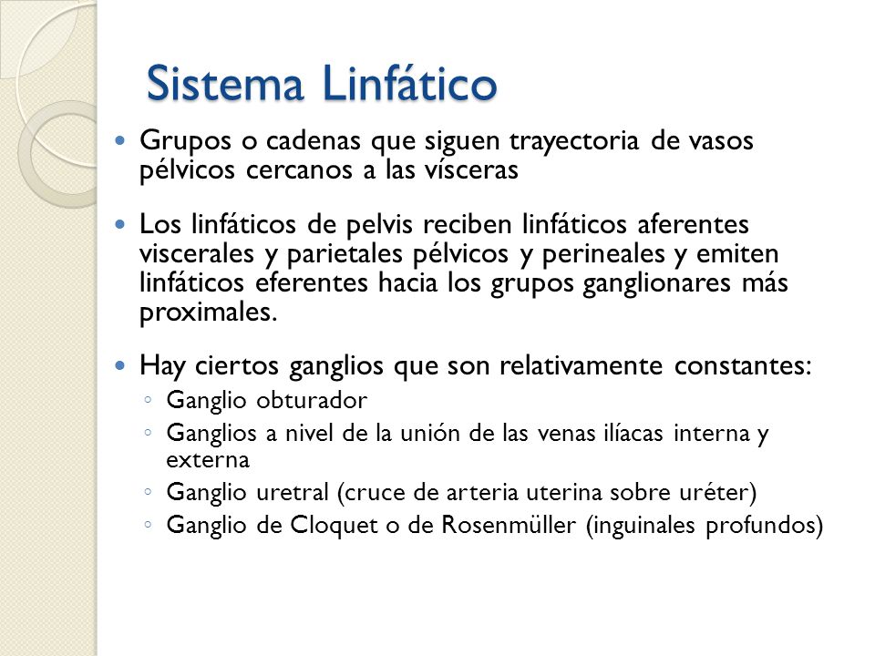 Sistema Linfático Grupos o cadenas que siguen trayectoria de vasos pélvicos cercanos a las vísceras.