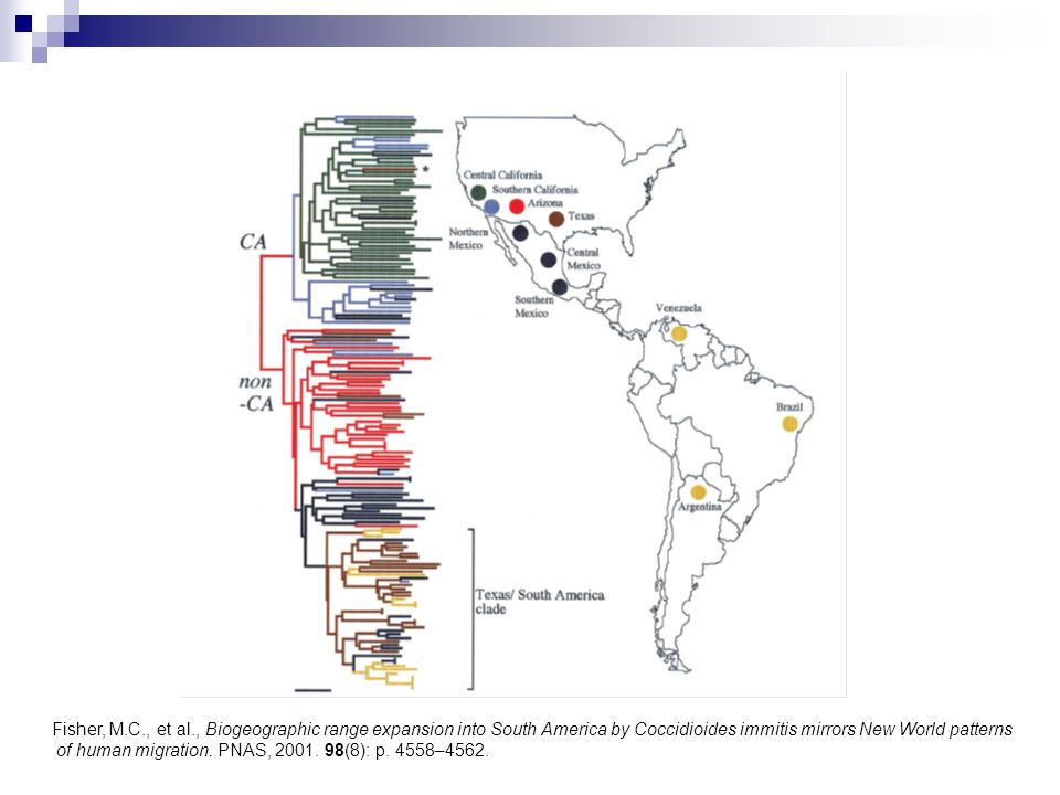 Fisher, M.C., et al., Biogeographic range expansion into South America by Coccidioides immitis mirrors New World patterns