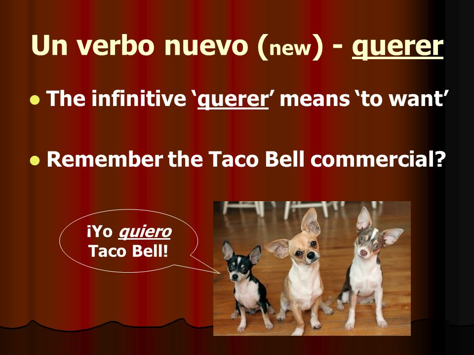 Un verbo nuevo (new) - querer