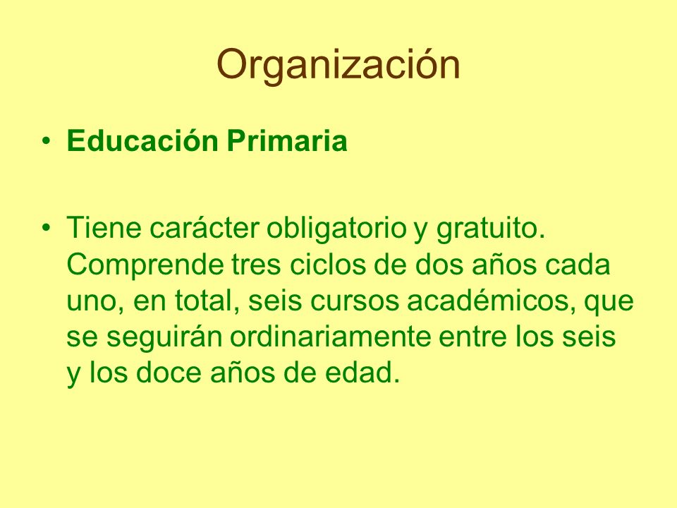 Organización Educación Primaria
