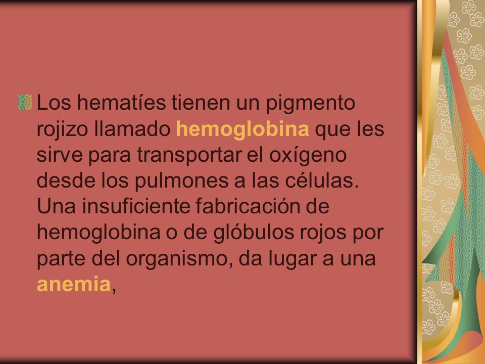 Los hematíes tienen un pigmento rojizo llamado hemoglobina que les sirve para transportar el oxígeno desde los pulmones a las células.