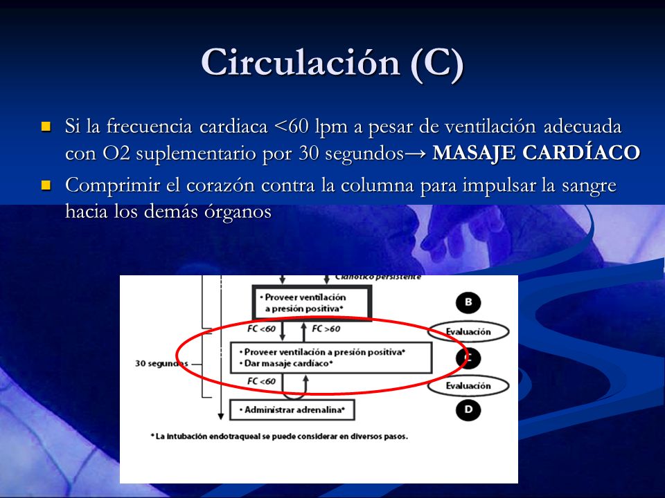 Circulación (C) Si la frecuencia cardiaca <60 lpm a pesar de ventilación adecuada con O2 suplementario por 30 segundos→ MASAJE CARDÍACO.