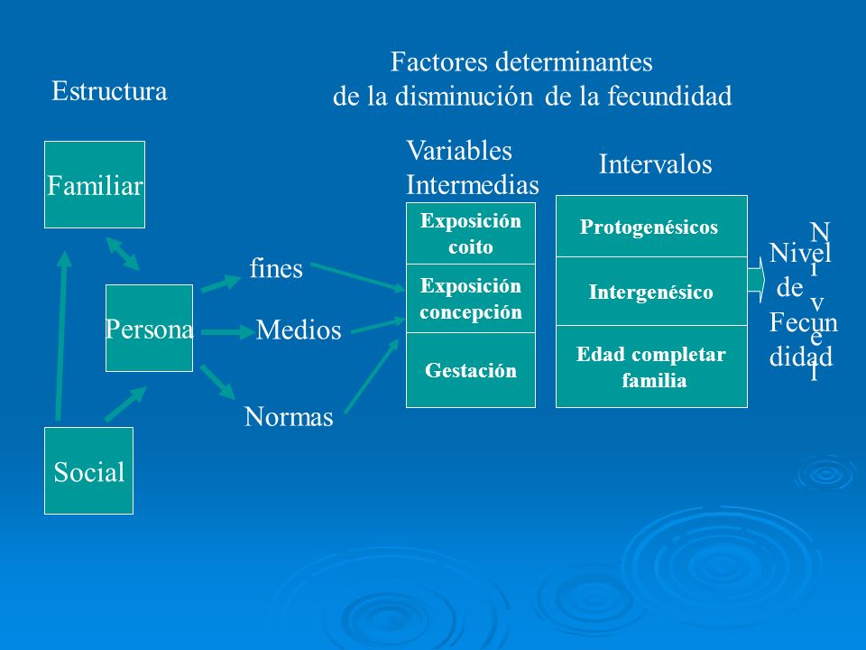 Factores determinantes de la disminución de la fecundidad Estructura