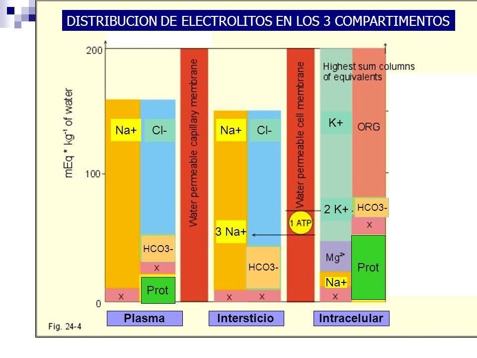 DISTRIBUCION DE ELECTROLITOS EN LOS 3 COMPARTIMENTOS