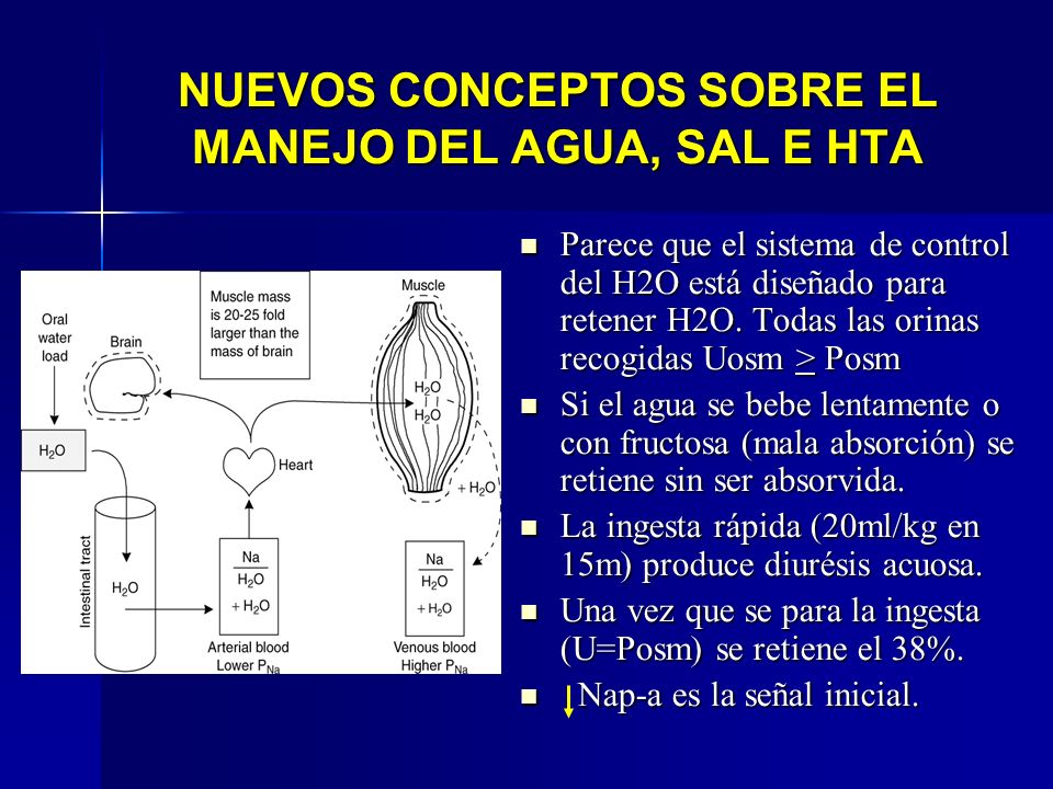 NUEVOS CONCEPTOS SOBRE EL MANEJO DEL AGUA, SAL E HTA