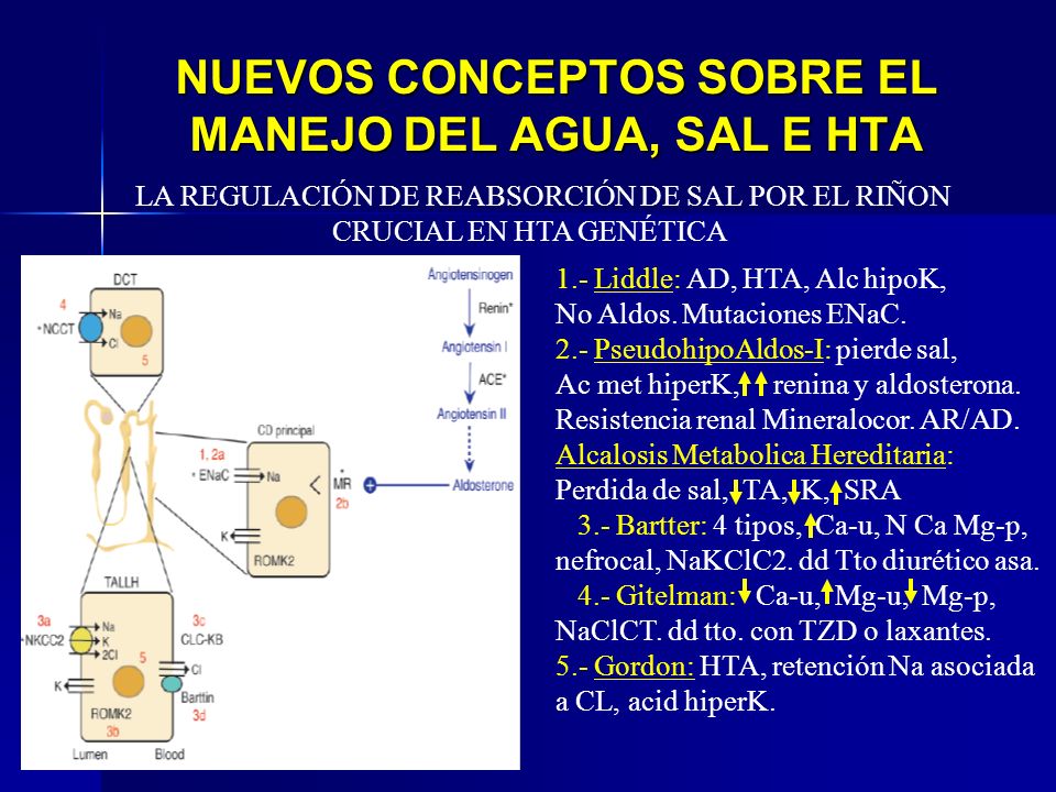 NUEVOS CONCEPTOS SOBRE EL MANEJO DEL AGUA, SAL E HTA