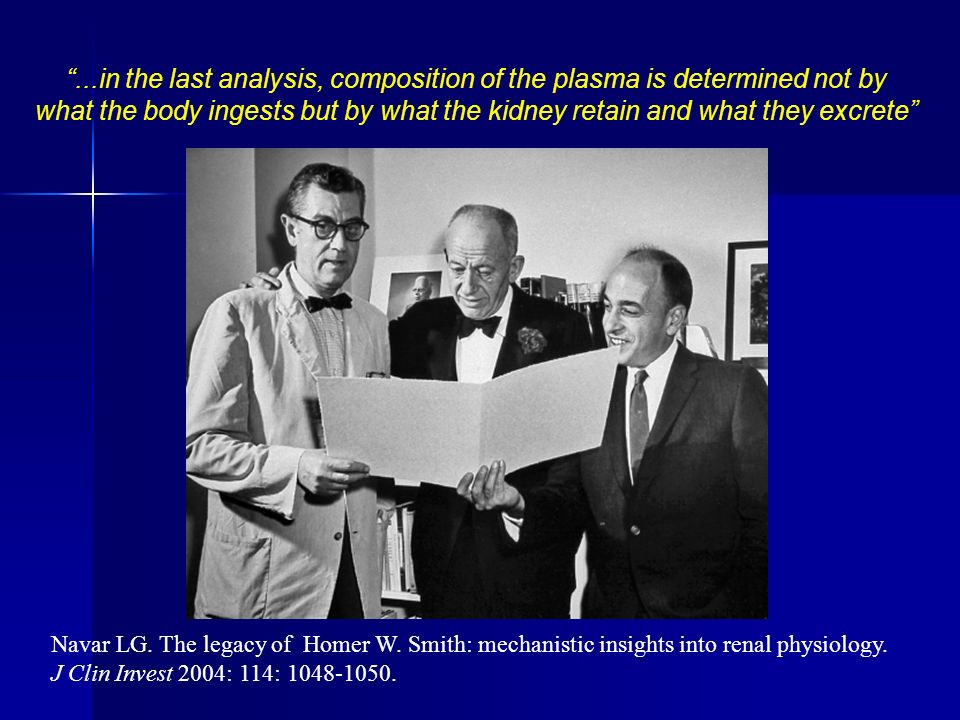 ...in the last analysis, composition of the plasma is determined not by
