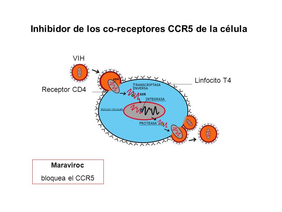 Inhibidor de los co-receptores CCR5 de la célula