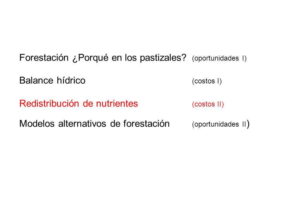 Forestación ¿Porqué en los pastizales (oportunidades I)