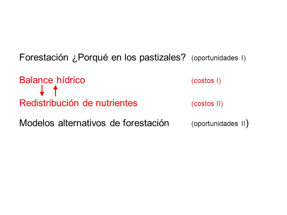 Forestación ¿Porqué en los pastizales (oportunidades I)