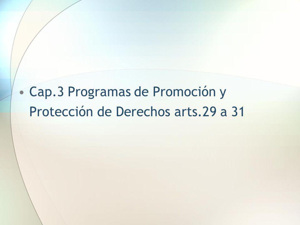 Cap.3 Programas de Promoción y Protección de Derechos arts.29 a 31