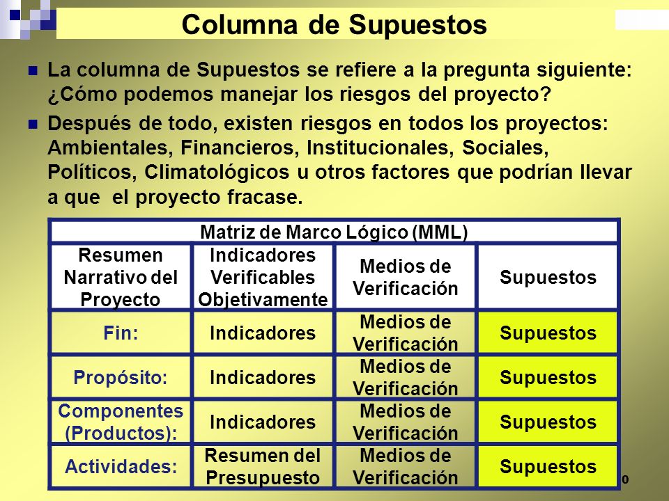 Columna de Supuestos La columna de Supuestos se refiere a la pregunta siguiente: ¿Cómo podemos manejar los riesgos del proyecto