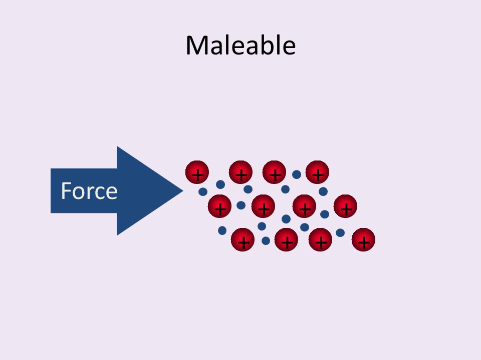 Maleable + Force