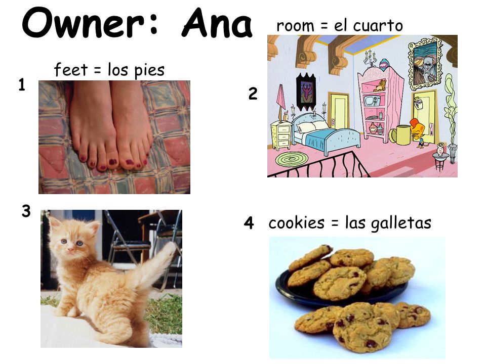 Owner: Ana room = el cuarto feet = los pies