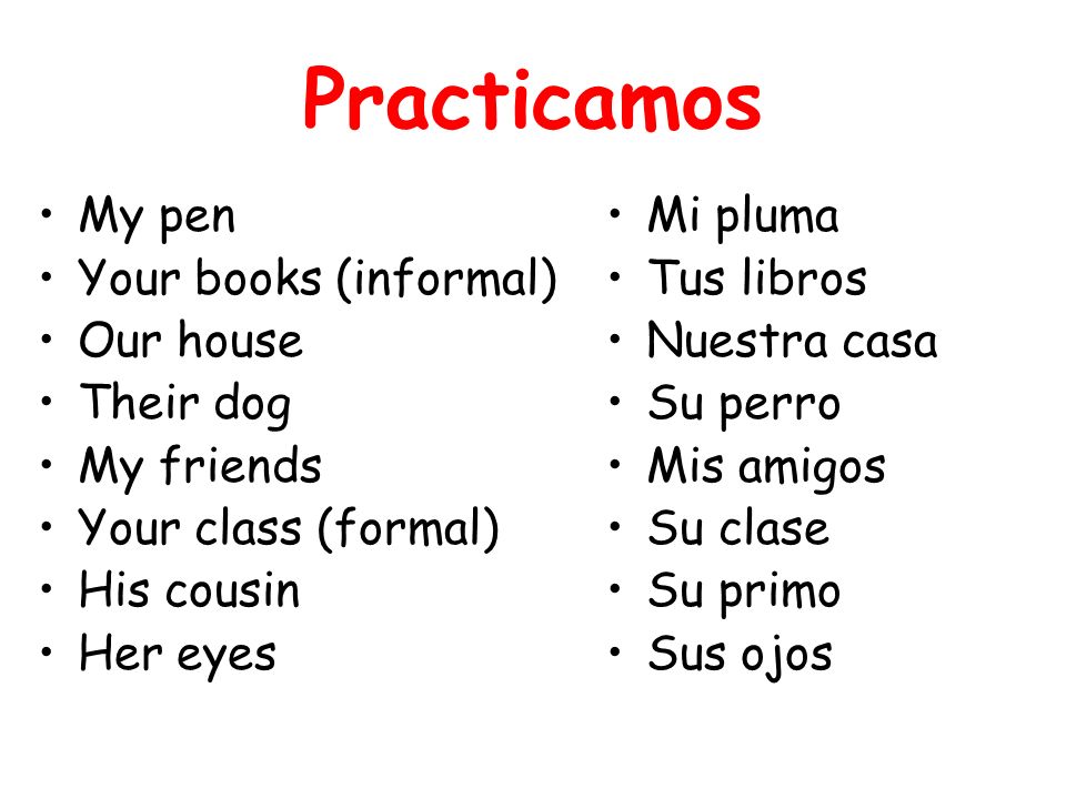 Practicamos My pen Your books (informal) Our house Their dog