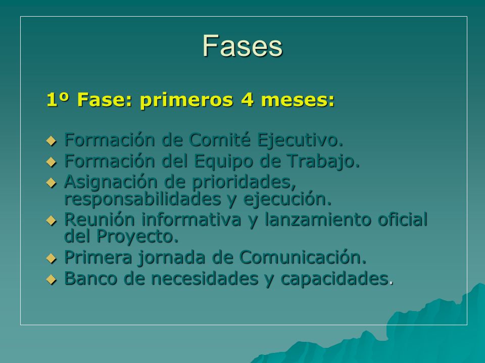Fases 1º Fase: primeros 4 meses: Formación de Comité Ejecutivo.