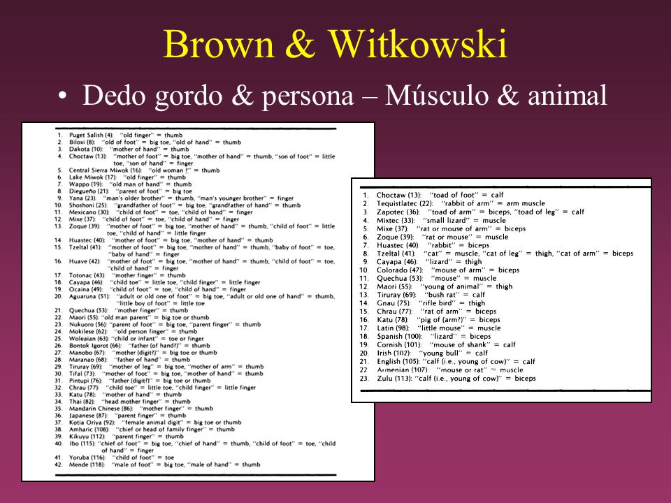 Brown & Witkowski Dedo gordo & persona – Músculo & animal