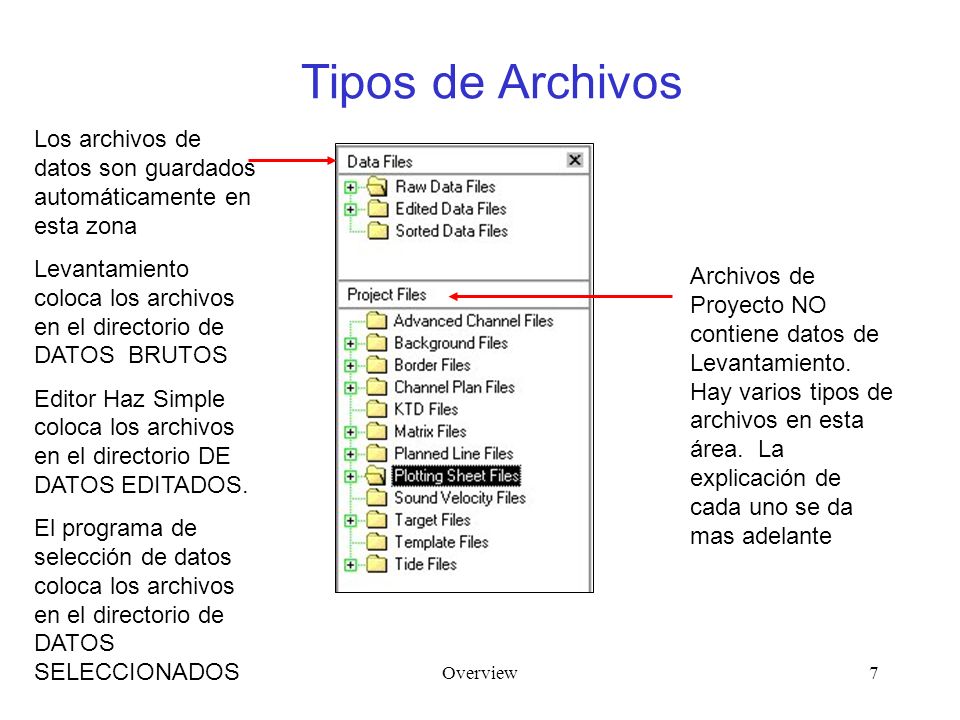 Tipos de Archivos Los archivos de datos son guardados automáticamente en esta zona.