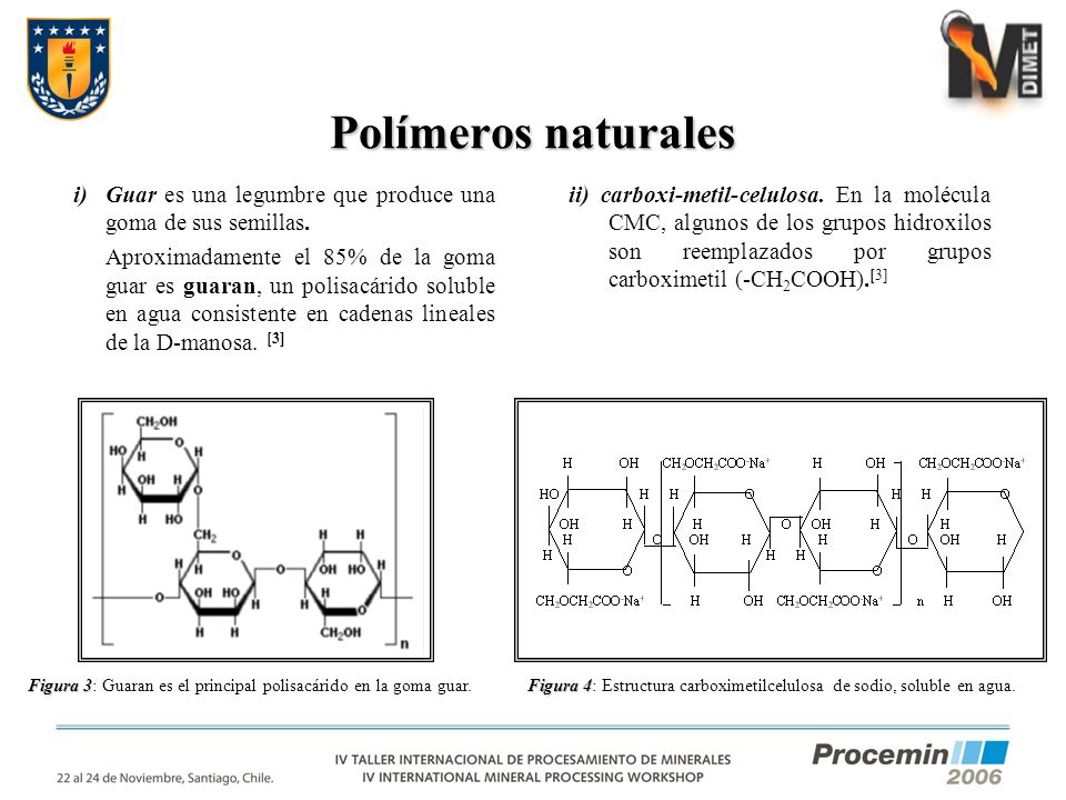 Polímeros naturales Guar es una legumbre que produce una goma de sus semillas.