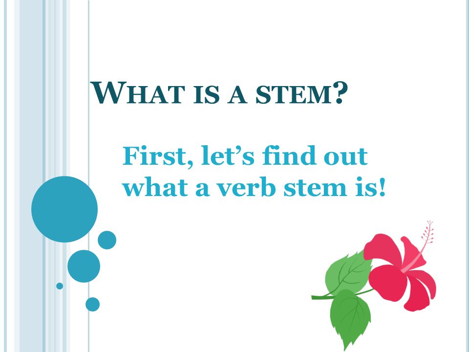First, let’s find out what a verb stem is!