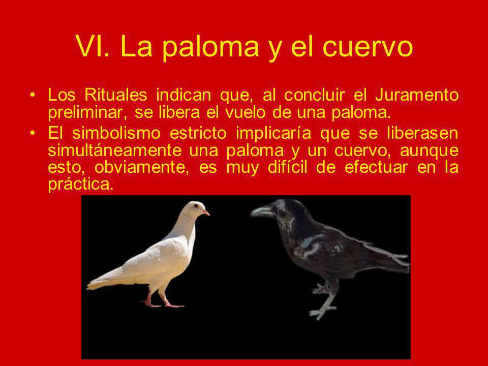 VI. La paloma y el cuervo Los Rituales indican que, al concluir el Juramento preliminar, se libera el vuelo de una paloma.