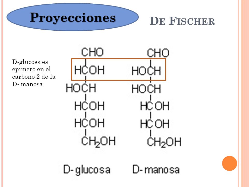 Proyecciones De Fischer