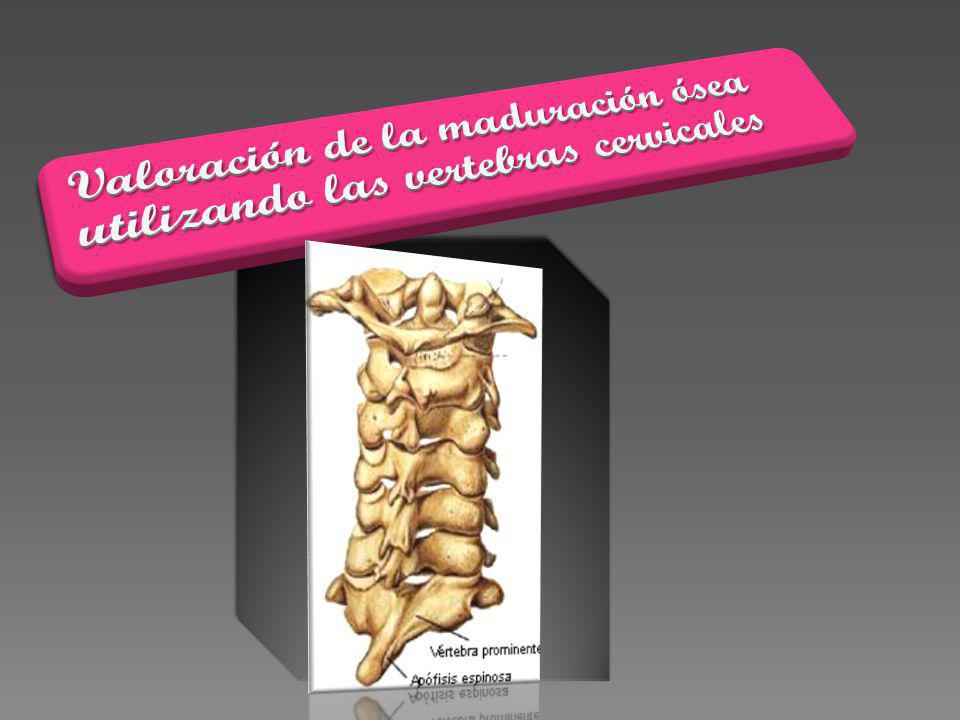 Valoración de la maduración ósea utilizando las vertebras cervicales