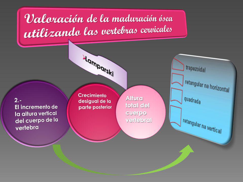 Valoración de la maduración ósea utilizando las vertebras cervicales