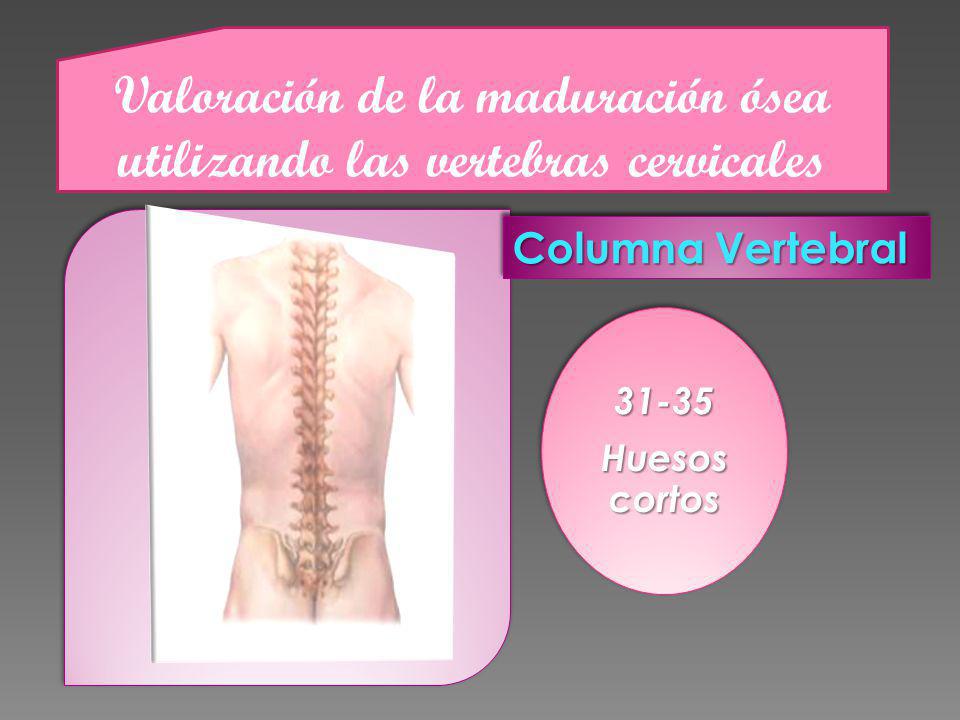 Valoración de la maduración ósea utilizando las vertebras cervicales