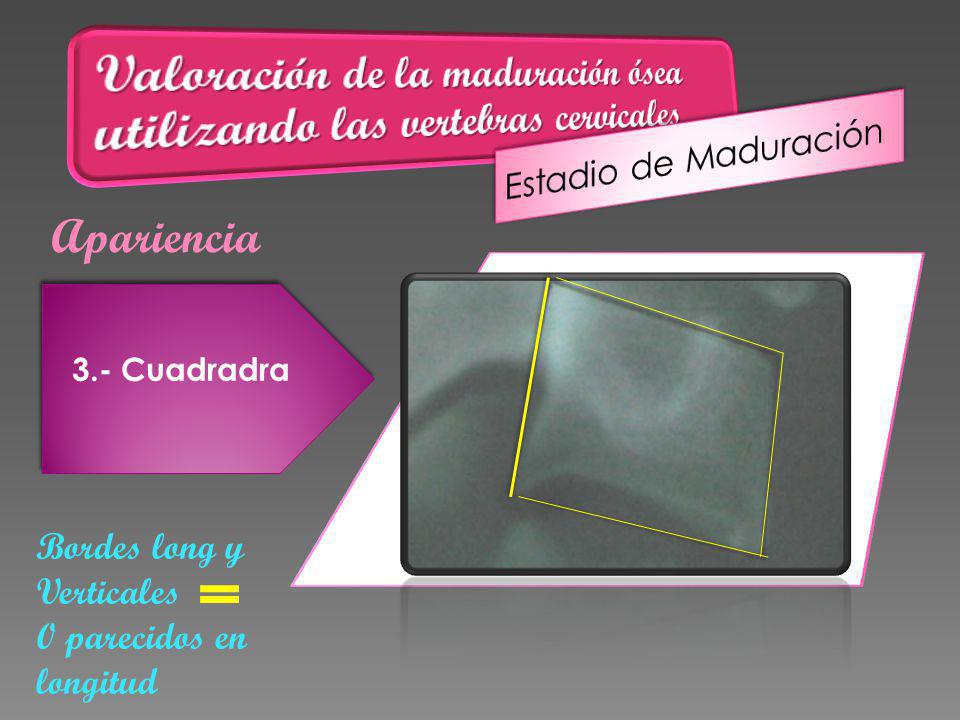 Valoración de la maduración ósea utilizando las vertebras cervicales