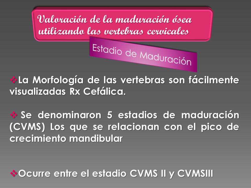 Valoración de la maduración ósea utilizando las vertebras cervicales