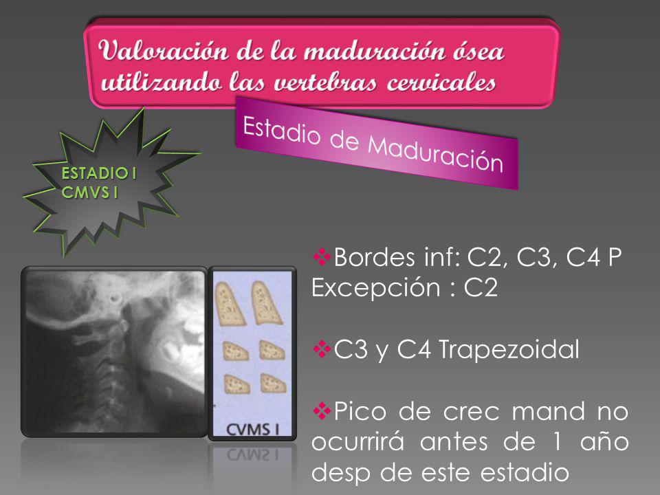Valoración de la maduración ósea utilizando las vertebras cervicales