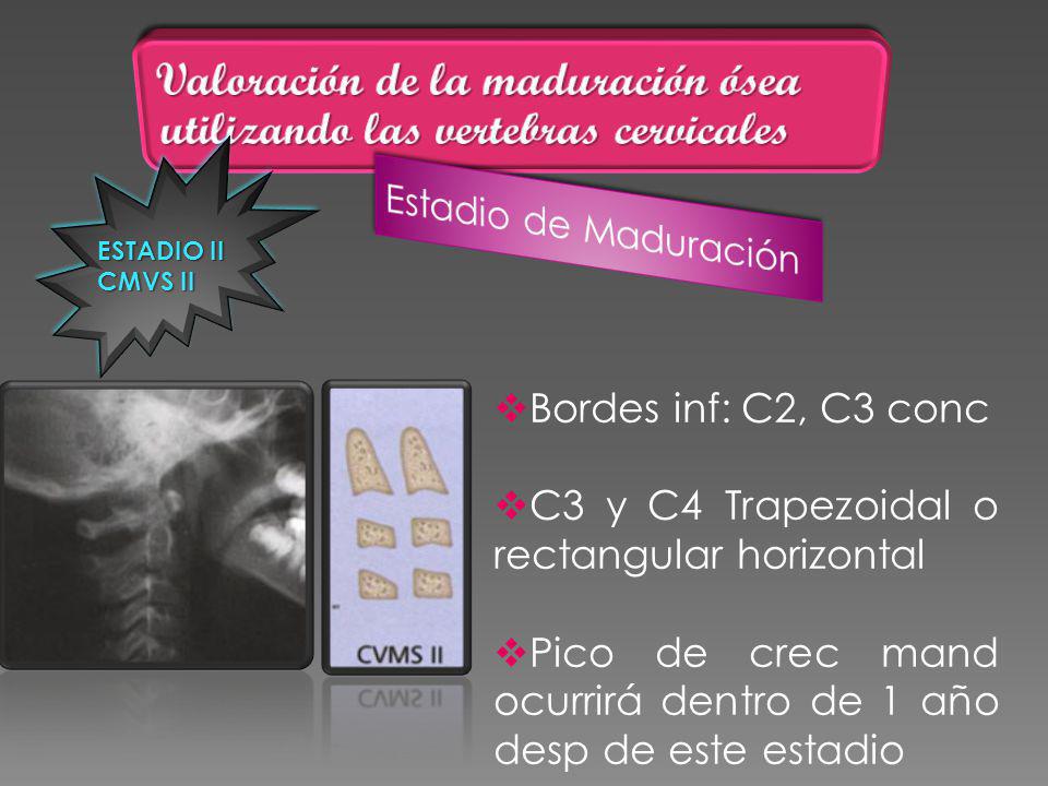 Valoración de la maduración ósea utilizando las vertebras cervicales