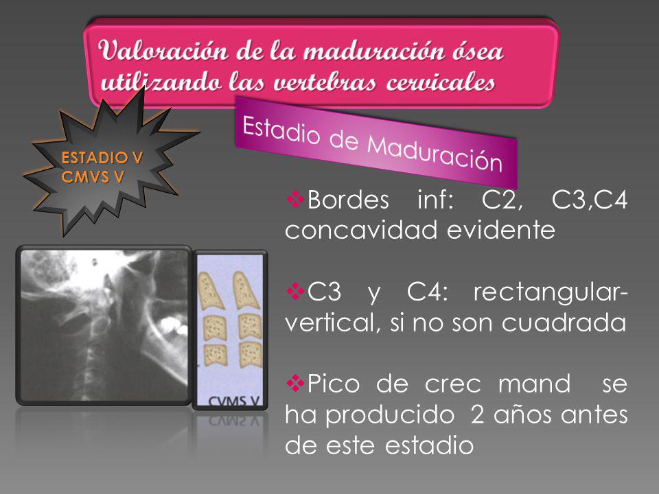 Valoración de la maduración ósea utilizando las vertebras cervicales